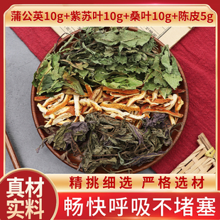 蒲公英紫苏叶桑叶陈皮组合茶鼻子原材料天然无硫干货泡水正品包邮