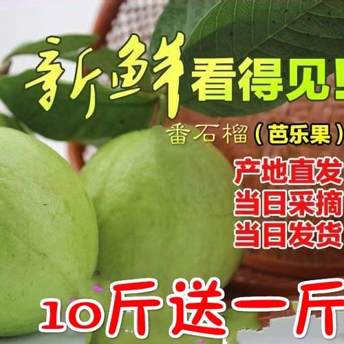 0水果蕃石榴送酸梅粉包邮芭乐