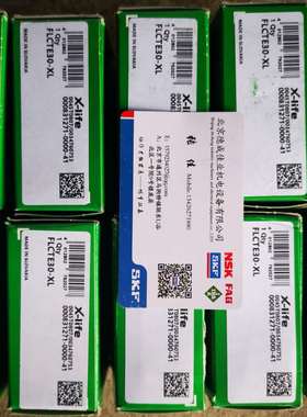 德国INA带座轴承 FLCTE30-XL