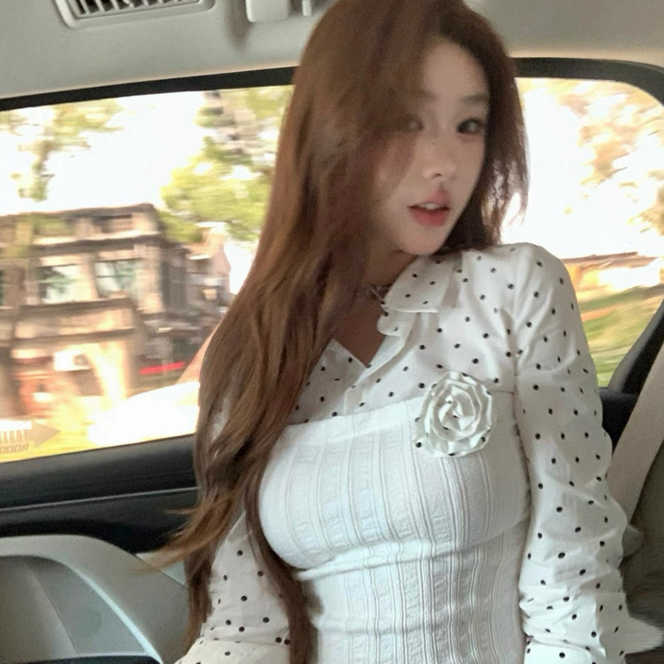 WGWE两件波点拼接针织T恤女别致立体花朵上衣衬衫配胸花W7371