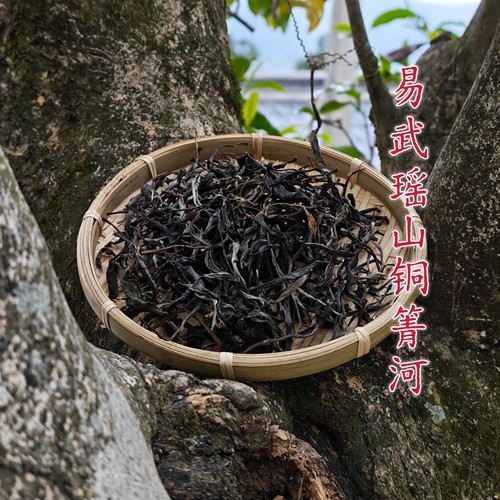 易武铜箐核心普洱生茶