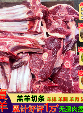 羊肉新鲜羊排宁夏滩羊手抓现杀羊腿把肋盐池烤新疆内蒙古5滩羊肉