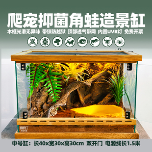 爬宠造景缸树蛙角蛙蛇鬃狮蜥守宫养殖箱大型雨林寄居蟹乌龟水陆缸