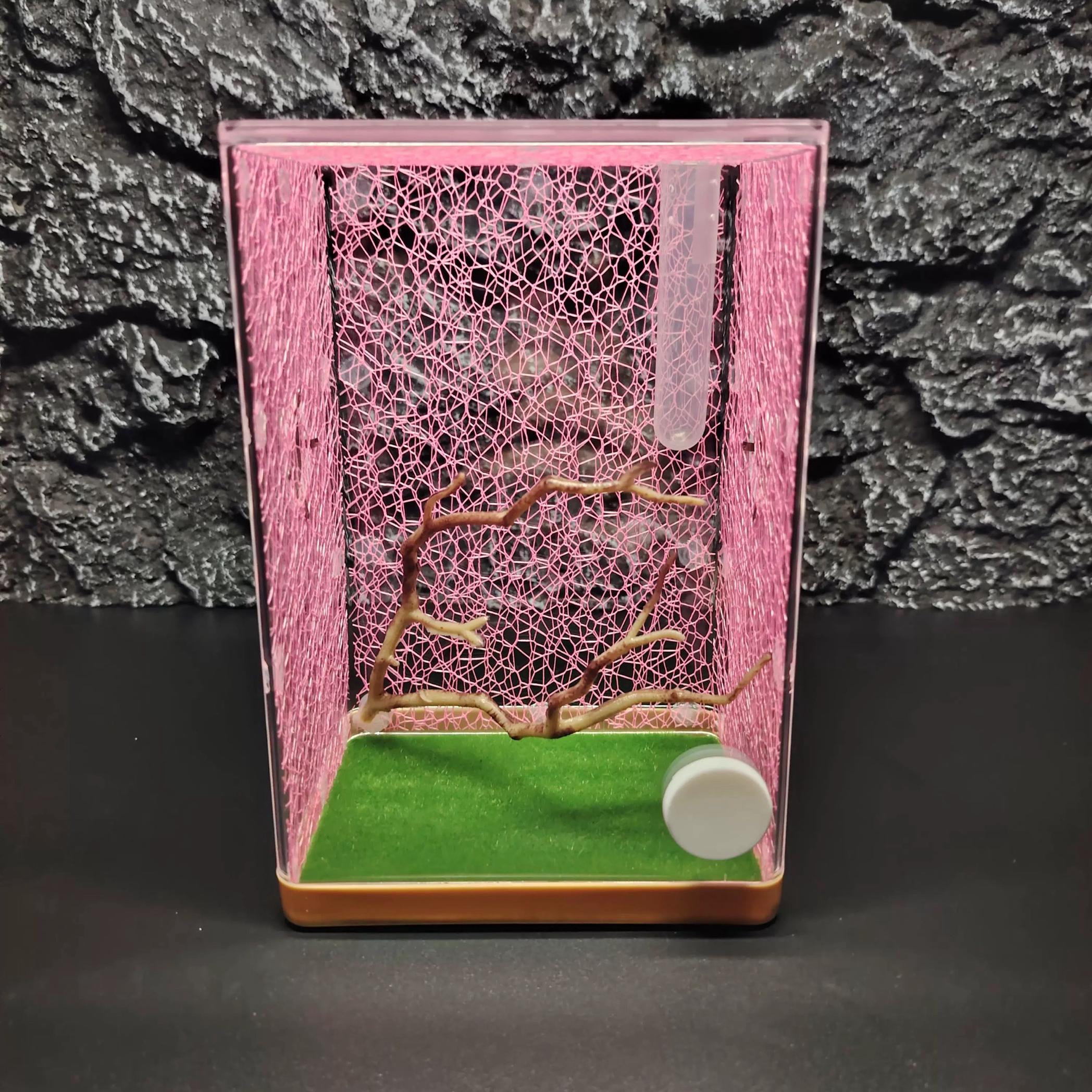 爬虫微景观爬网饲养盒螳螂蝈蝈用