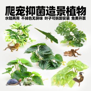 爬宠造景仿真植物摆件绿植躲避洞穴水盆食盆睫角守宫鬃狮乌龟用品