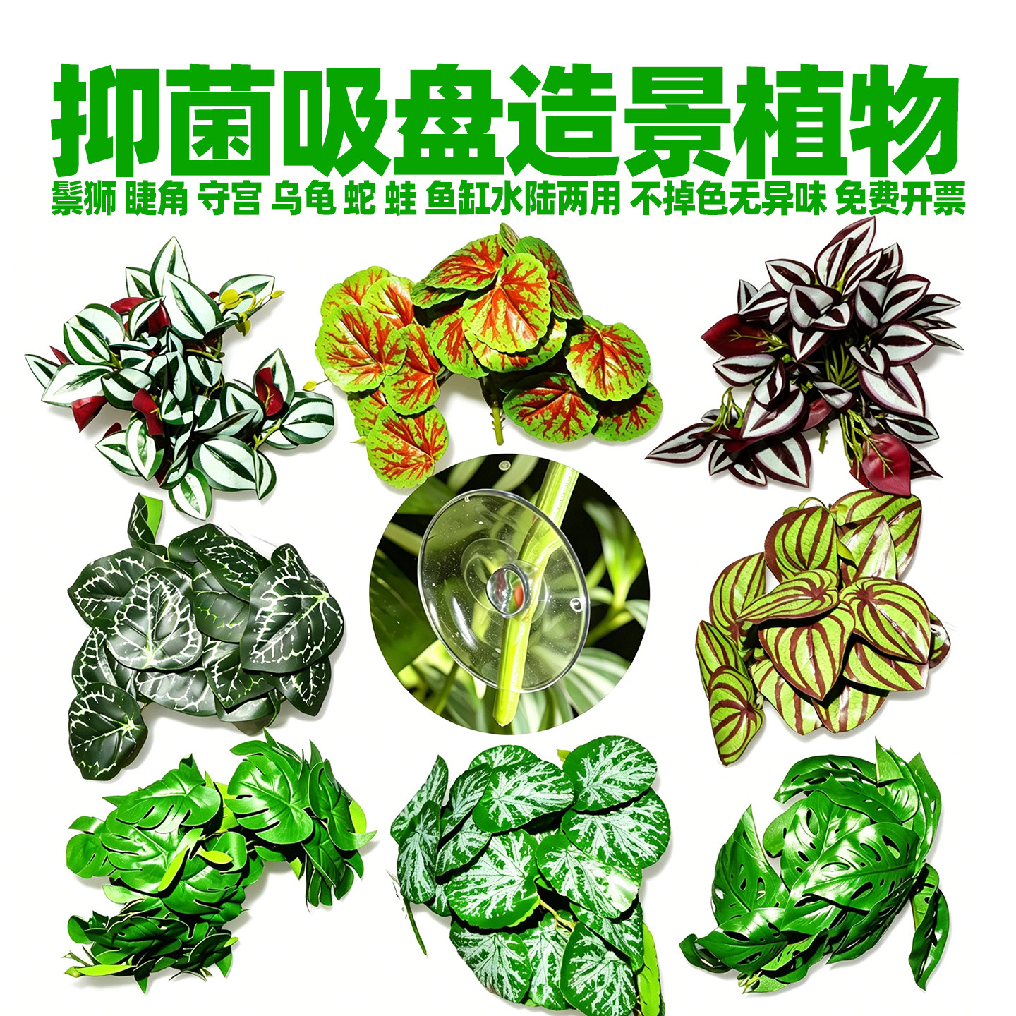 无菌高级逼真爬宠造景绿植藤蔓叶图片
