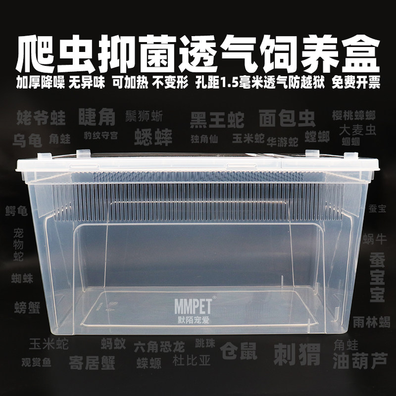 加厚人渣盒二代特大号中号小号蛇角蛙树蛙守宫蟋蟀面包虫养殖套装