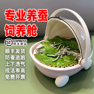特大蚕宝宝豪华别墅饲养舱桑叶小学生养蚕套装彩蚕宝宝养蚕太空舱