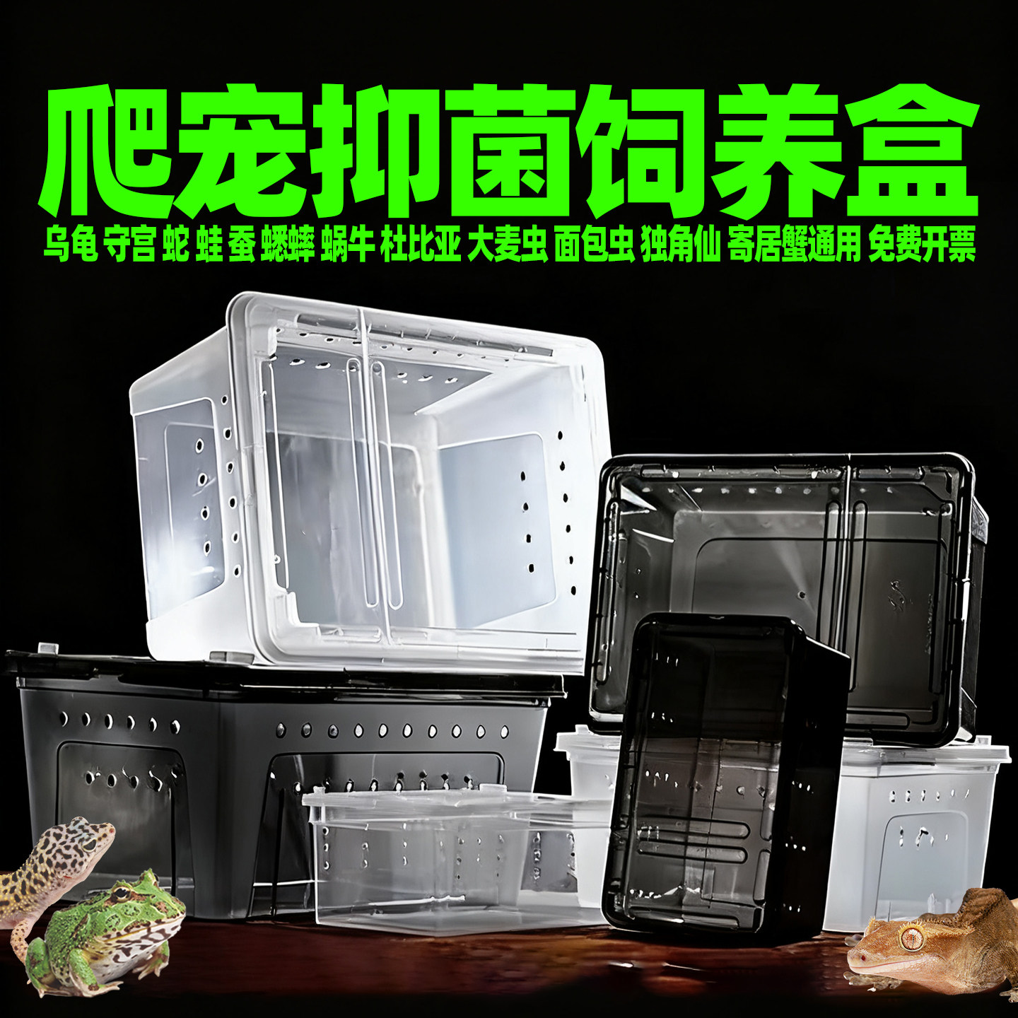 爬宠人渣盒二代超大号中号小号蛇蛙龟蟋蟀蚕蜗牛寄居蟹杜比亚角蛙