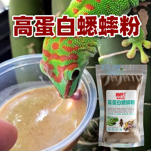 无菌高蛋白蟋蟀粉睫角豹纹R属巨人守宫盖勾亚专用昆虫粉混果泥粮