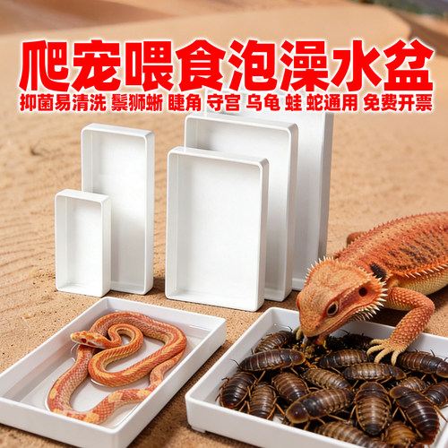 鬃狮蛙龟蛇守宫泡澡水盆防逃食盆