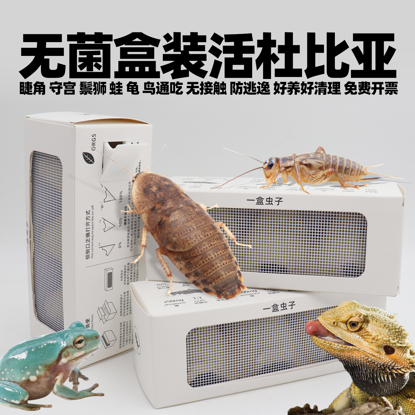 无菌杜比亚蟑螂活虫蟋蟀爬宠饲料