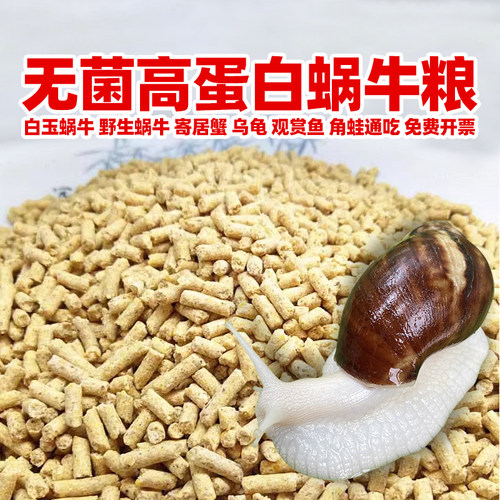 高钙白玉蜗牛粮饲料学生养殖套装