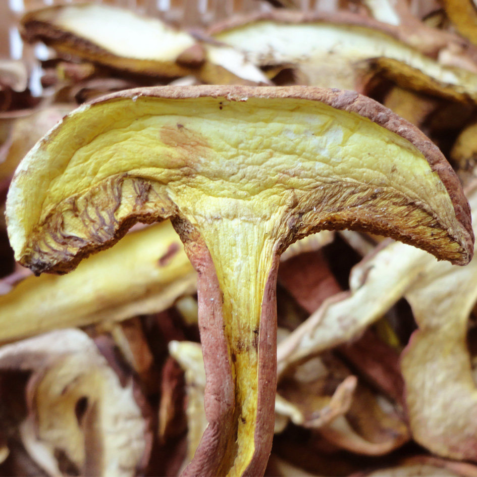 新货哀牢山野生黄牛肝菌红葱菌 见手青熬炖汤 舌尖2推荐干货100克