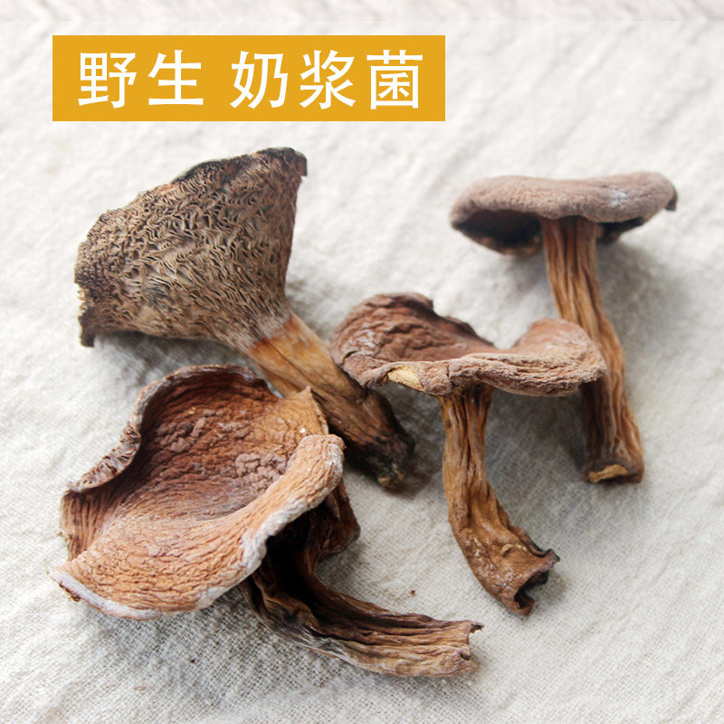 哀牢彝家奶浆菌 哀牢山奶浆菌 野生菌野山菌 香味浓郁 干货100克