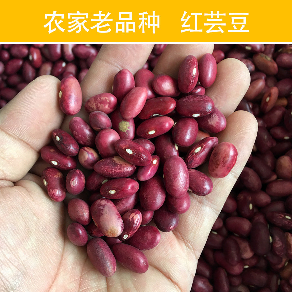 云南哀牢山红芸豆红豆红腰豆红花豆农家老品种自种五谷杂粮500克
