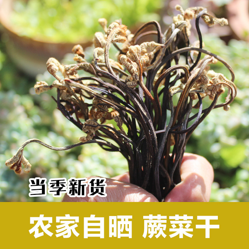 云南农家自晒蕨菜干野生蕨菜干货高山干菜脱水龙爪野菜干阙菜250g