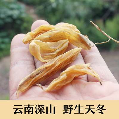 云南天冬中药材哀牢深山采摘晒干天门冬无硫干货500g