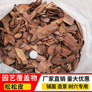 松鳞松树皮爬虫用花盆覆盖用打磨型500g克中号促销多肉盆栽用包邮