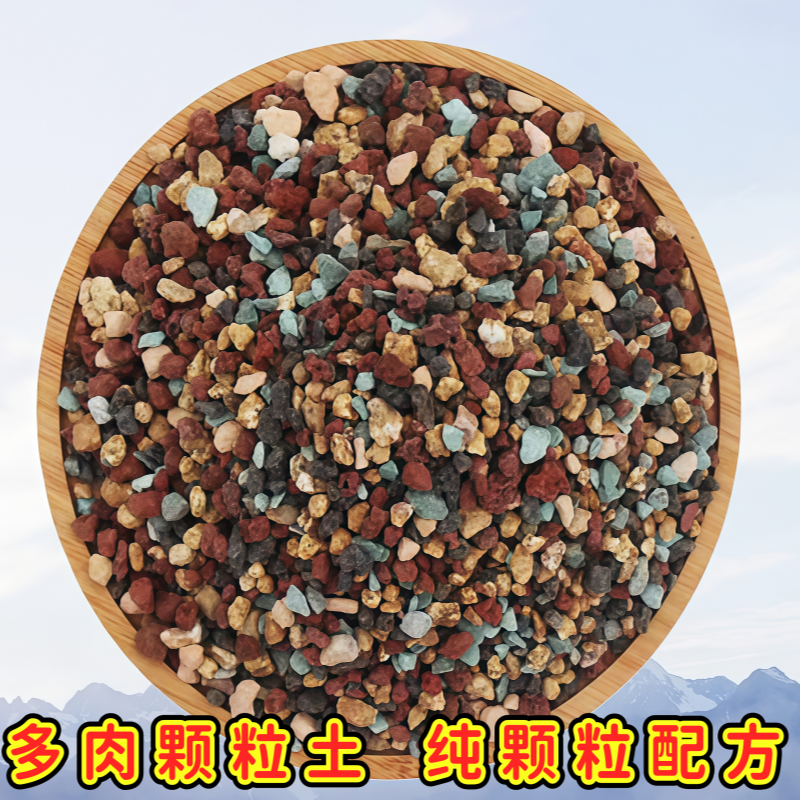 多肉颗粒土营养土泥炭土多肉叶插幼苗老桩硅藻土轻石纯颗粒铺面石