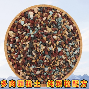 多肉颗粒土营养土泥炭土多肉叶插幼苗老桩硅藻土轻石纯颗粒铺面石