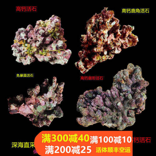 活石免爆藻深海活石海水造景