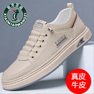 100%全牛皮欧伦啄木鸟男士休闲板鞋真皮软皮软底百搭透气小白鞋