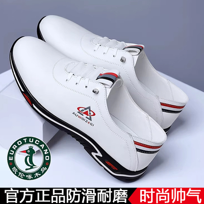 欧伦啄木鸟男士真皮时尚运动休闲皮鞋透气小白鞋旅游防滑耐磨大码