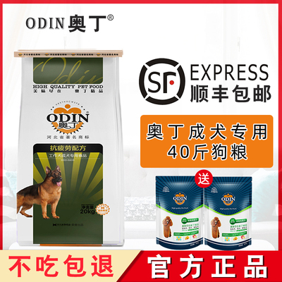 奥丁通用型萨摩耶阿拉斯加成犬