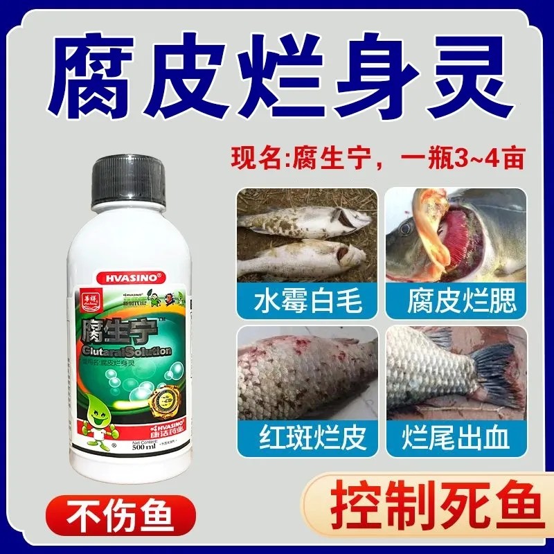 疥疮腐皮烂身灵腐生宁烂鳃烂尾出血白斑水霉白云病乌龟甲鱼鳖红底