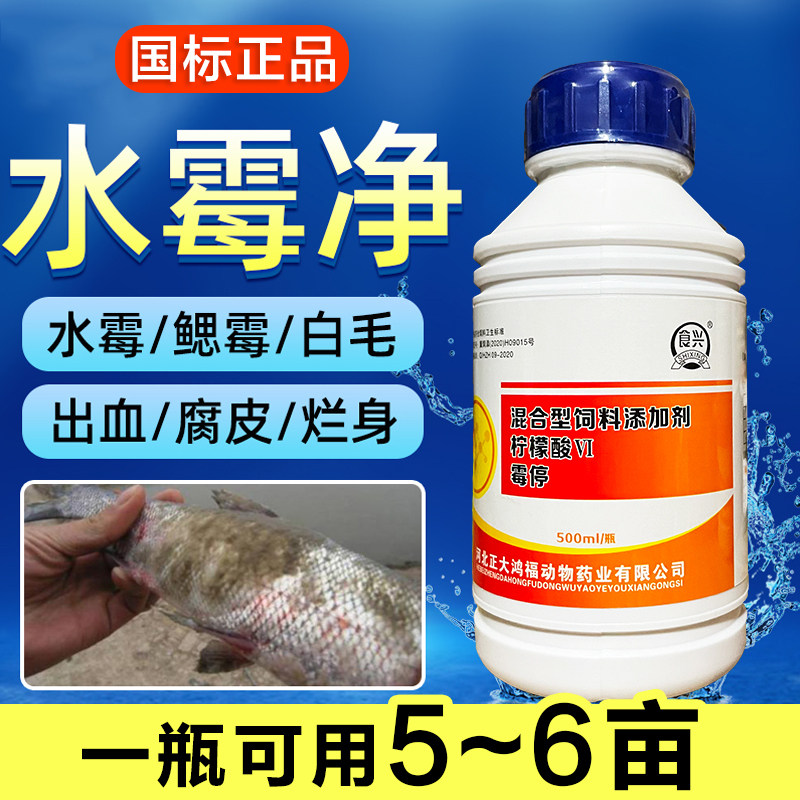 水池养殖鱼塘白毛病鱼药霉停水杨水族药品药剂
