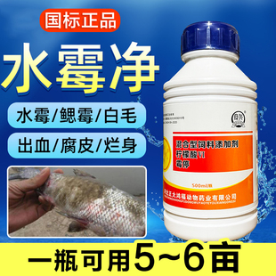 水池养殖鱼塘白毛病鱼药霉停水杨酸水霉净鱼用专治水霉病鳃霉清