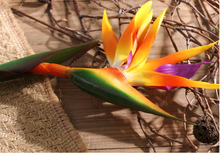 影楼摄影 仿真花鹤望兰外景旅拍 假花摆设装饰花客厅插花摆放花