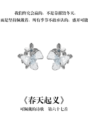 南风歌可佩戴的诗歌《春天起义》花朵耳钉S925银蓝色碎冰小众礼物