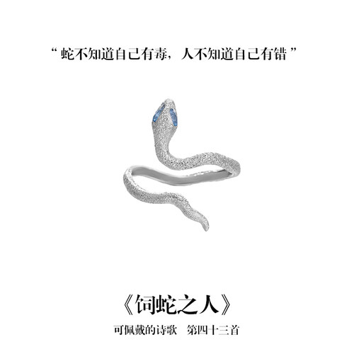 南风歌饲蛇之人钉砂戒指开口S925纯银小众气质情侣礼物