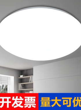 led圆形吸顶灯18w24w30w36w48w直径40cm50cm客厅卧室阳台全白灯具