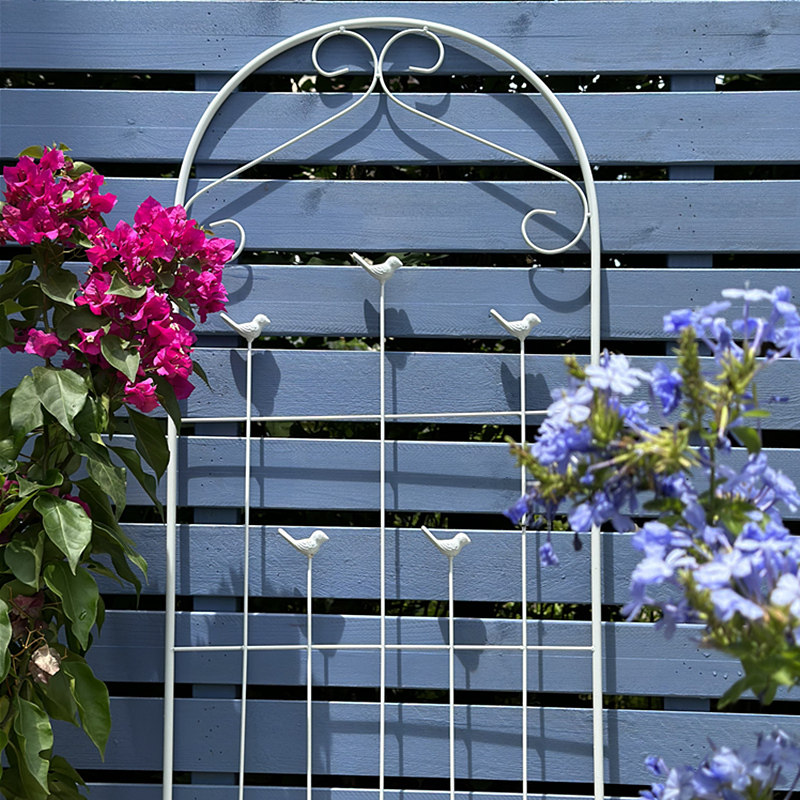 铁艺月季铁线莲花架爬藤架植物花卉攀爬支架花园栅栏护栏围栏户外