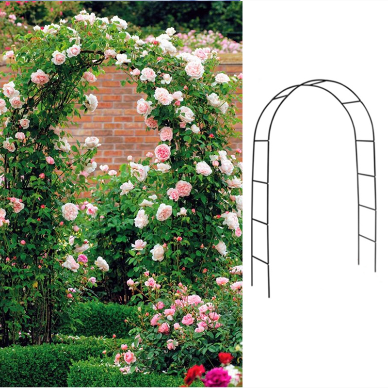铁线莲月季拱形拱门花架爬藤架攀爬绿植物支架杆葡萄架户外庭院-封面