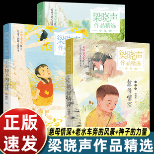力量老水车旁 慈母情深种子 风景散文经典 小学四五六年级课外书必读老师推荐 儿童文学畅销读物书 正版 经典 梁晓声作品集精选少年版