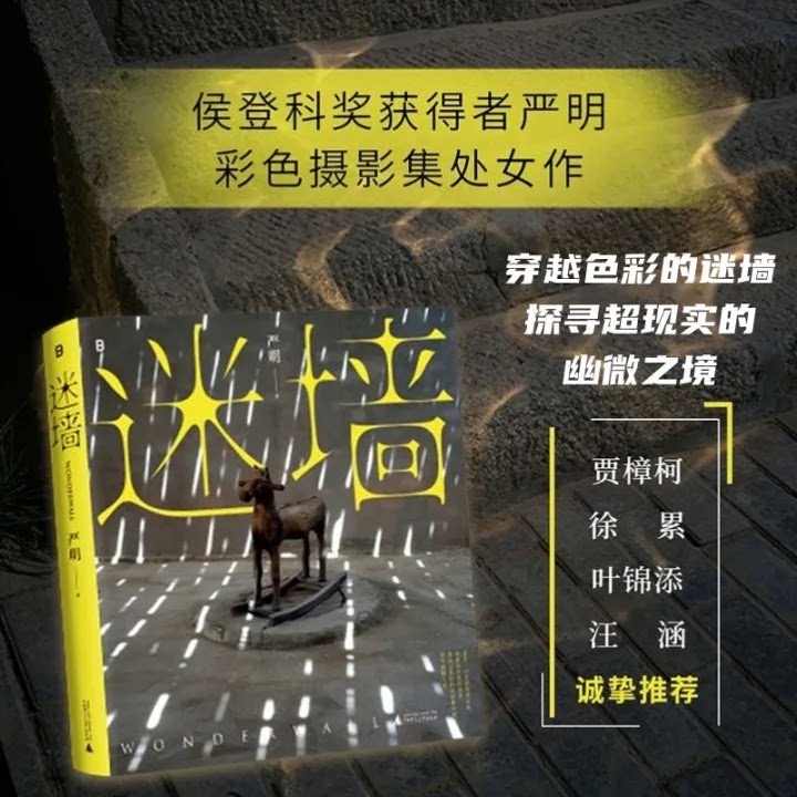 迷墙严明彩色摄影集处女作