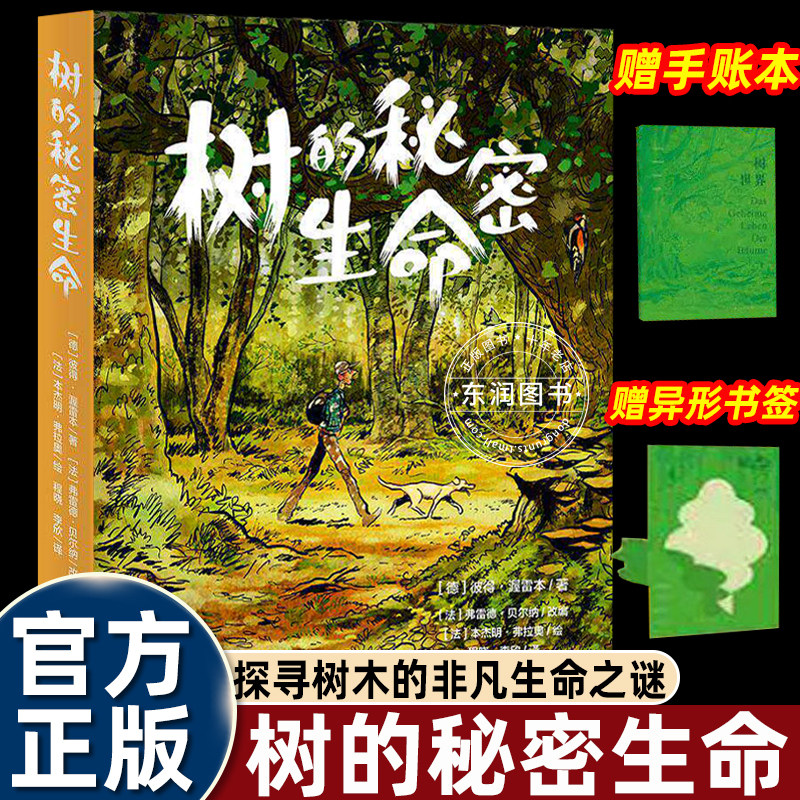 赠手账本树的秘密生命儿童绘本全彩绘图科普图像小说自然科普世界名著植物森林爱好者喜欢治愈系手绘生态主题图文书籍的读者畅销书