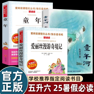2025暑假必读书单五升六年级必读 童年高尔基著爱丽丝漫游奇境精编童年河老师推荐指定书香鲁韵万物复书八桂阅读