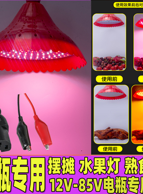 12V低压电瓶灯泡48V水果生鲜60伏卤菜熟食LED夜市灯地摊专用超亮
