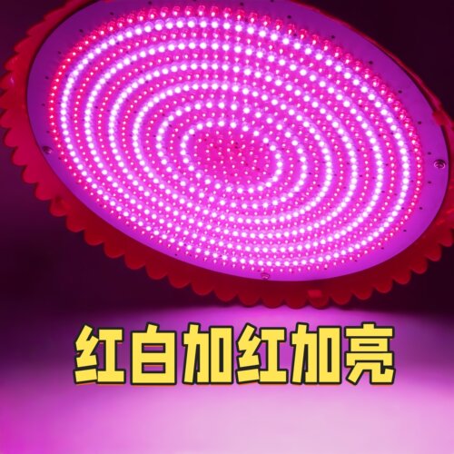 220V红白红黄led灯e27螺口照明灯