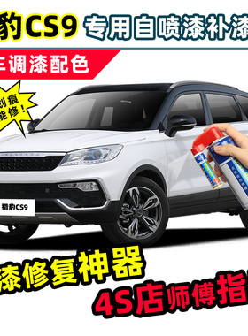 猎豹CS9补漆笔白色自喷漆玄幻白荣耀金梦想蓝果力橙晨曦红色车漆