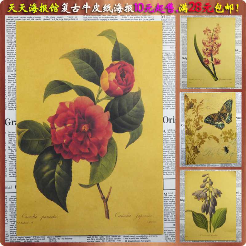 画之佳包邮植物花卉装饰画复古牛皮纸海报画 客厅卧室酒吧室内装图片