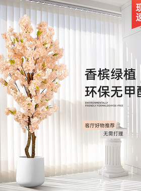 客厅装饰室内仿真落地绿植花艺
