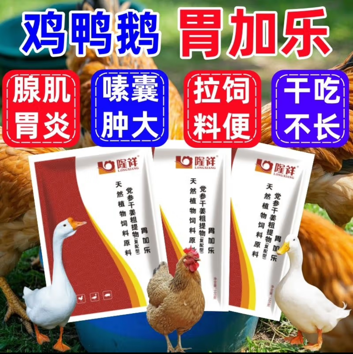 胃加乐鸡药嗉囊肿胀不消化吐口水料便细长条鱼肠便用胃得乐兽用