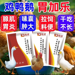 胃加乐鸡药嗉囊肿胀不消化吐口水料便细长条鱼肠便用胃得乐兽用