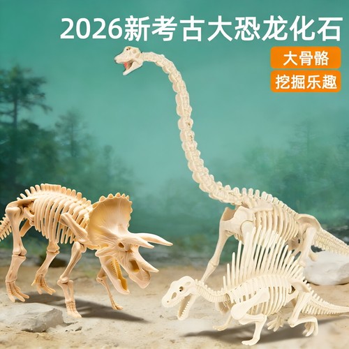 六一儿童恐龙化石考古挖掘玩具二年级下册石膏腕龙挖宝大骨架模型